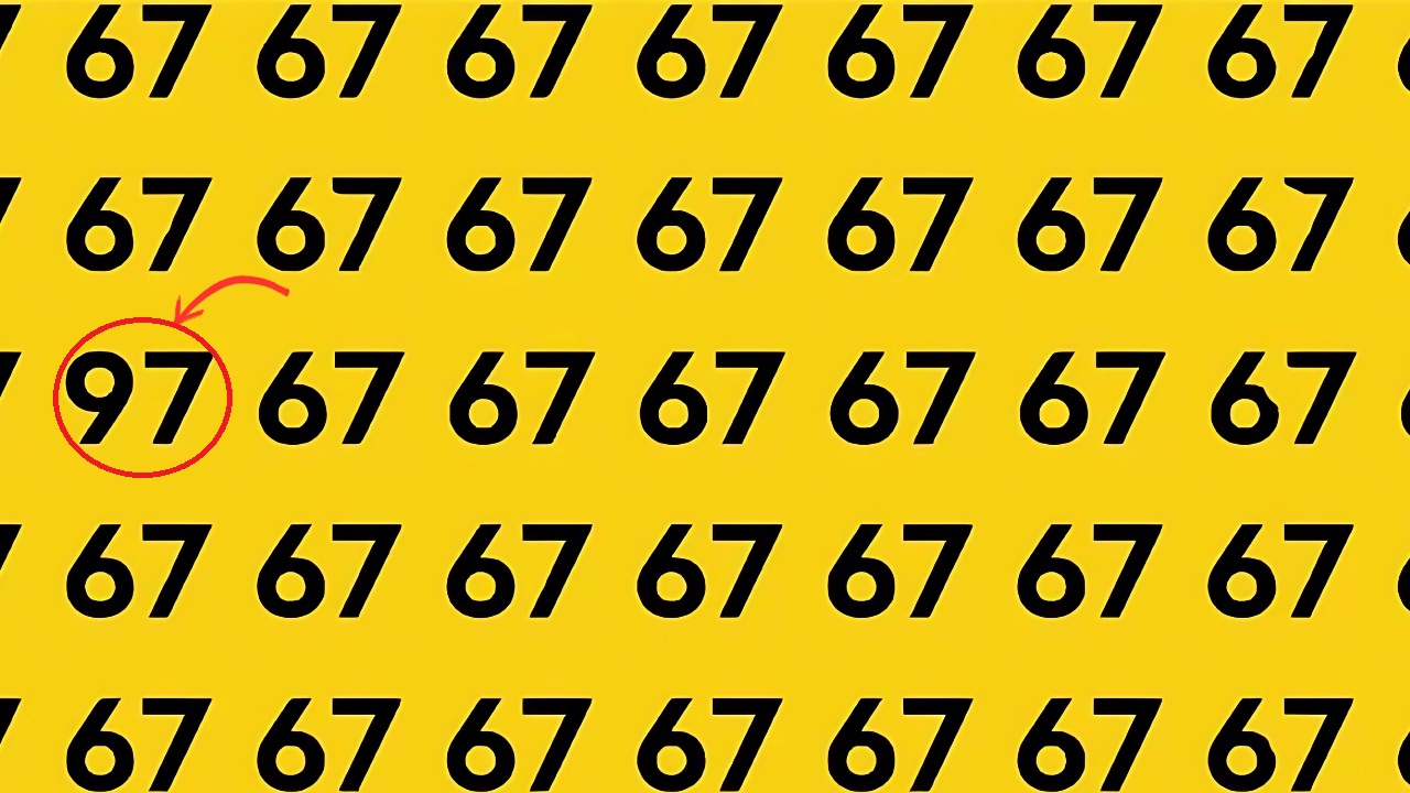 Optical Illusions Challenges