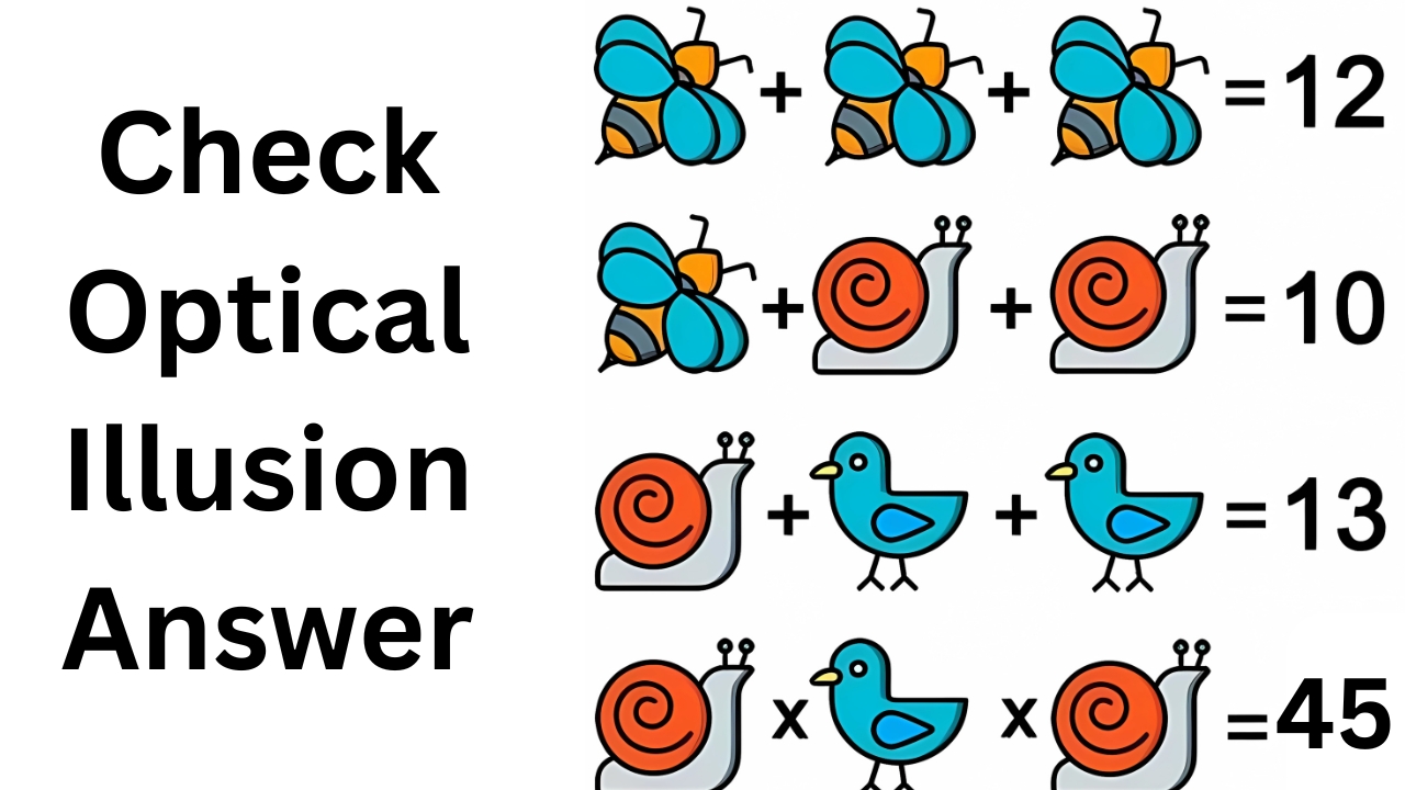 Optical Illusion Challenges